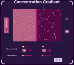 Chemical Gradient Screenshot