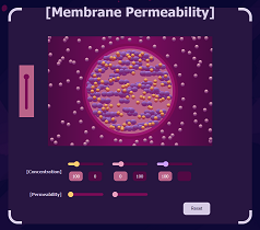 Membrane Permeability Screenshot